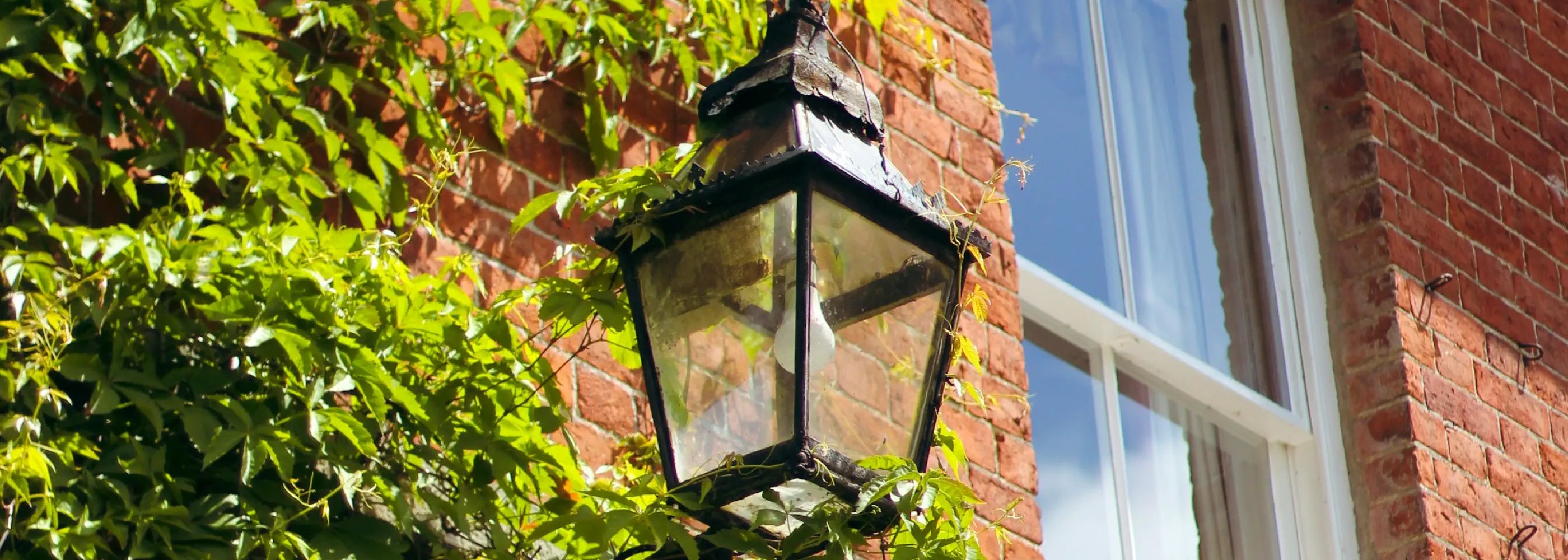 A vintage-style lantern wall light with a black metal frame is mounted on a red brick wall. It is surrounded by lush green ivy and positioned near a window, adding charm and character to the exterior of the home.