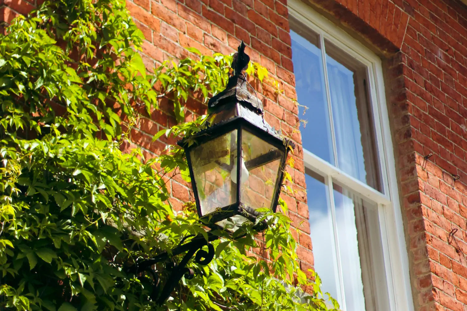 A vintage-style lantern wall light with a black metal frame is mounted on a red brick wall. It is surrounded by lush green ivy and positioned near a window, adding charm and character to the exterior of the home.