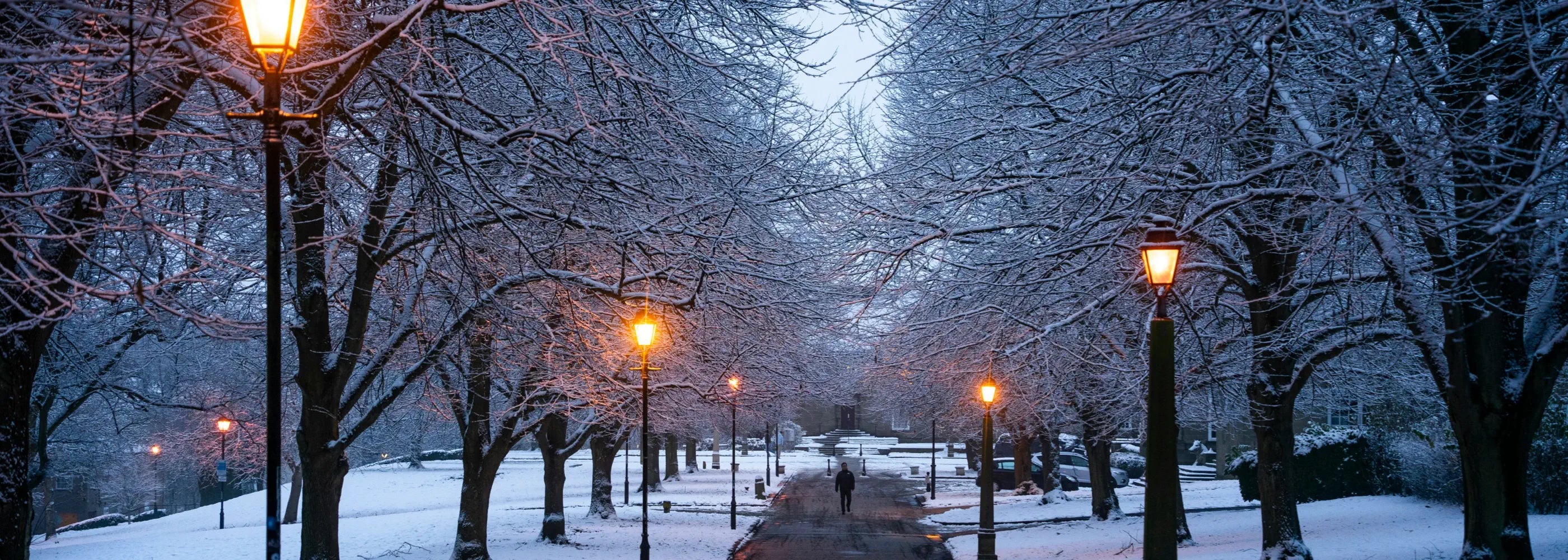 A serene winter scene featuring a snow-covered pathway lined with glowing vintage-style streetlights. Bare trees frame the walkway, their branches dusted with snow, as a lone figure walks in the distance, creating a peaceful and atmospheric setting.