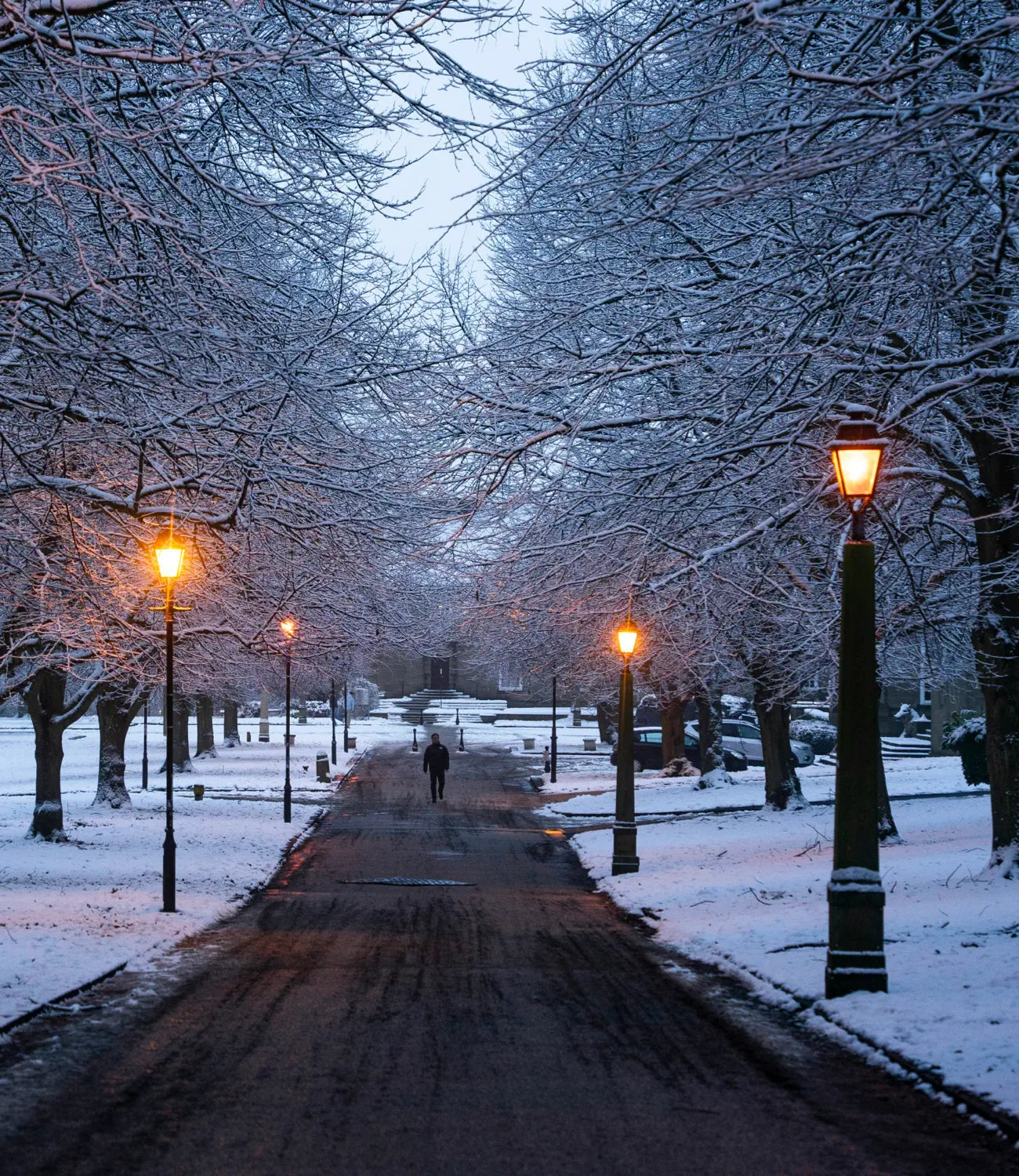 A serene winter scene featuring a snow-covered pathway lined with glowing vintage-style streetlights. Bare trees frame the walkway, their branches dusted with snow, as a lone figure walks in the distance, creating a peaceful and atmospheric setting.