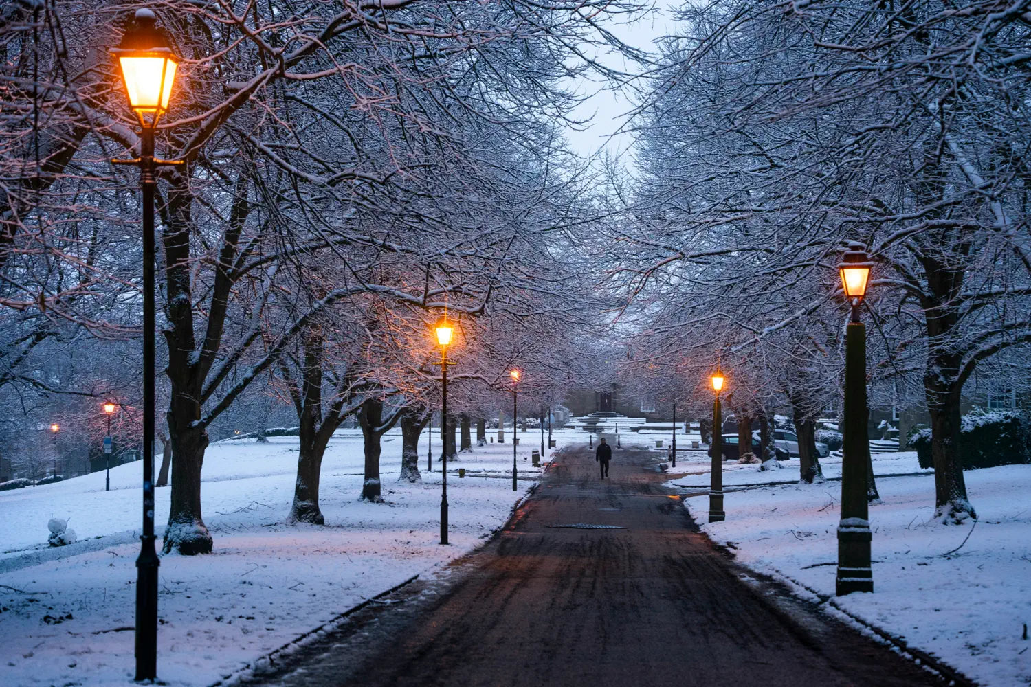 A serene winter scene featuring a snow-covered pathway lined with glowing vintage-style streetlights. Bare trees frame the walkway, their branches dusted with snow, as a lone figure walks in the distance, creating a peaceful and atmospheric setting.