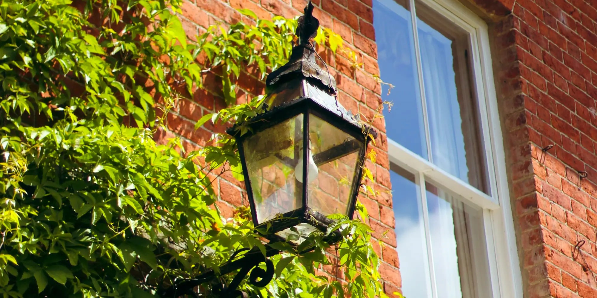 a black traditional style outdoor light amongst green foliage, with 4 glass side panels and 1 glass panel at the bottom The photo was taken during the day.
