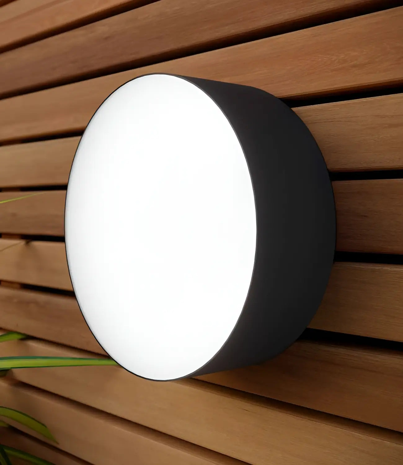 Round black wall light with glowing white front, mounted on wooden slat wall with plant leaves visible.