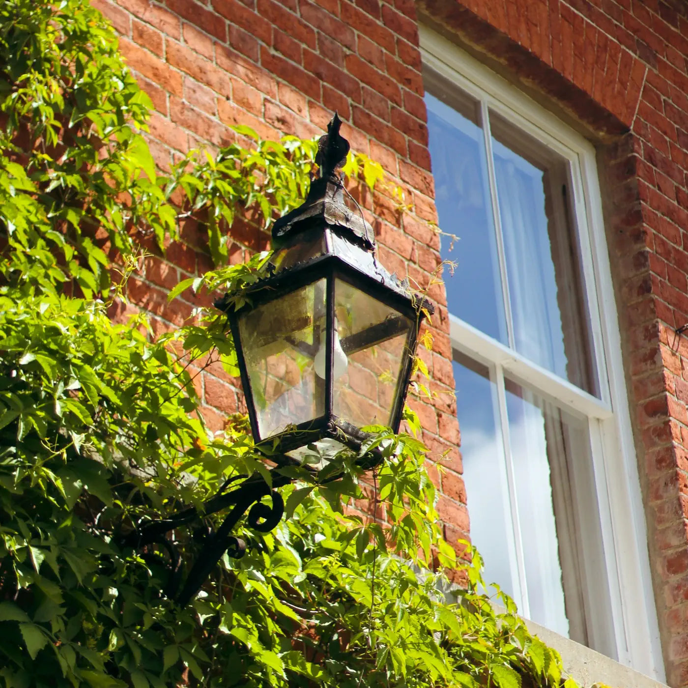 A classic black lantern-style wall light mounted on a red brick wall, surrounded by lush green ivy. A nearby window reflects the clear blue sky, adding charm and elegance to the setting.
