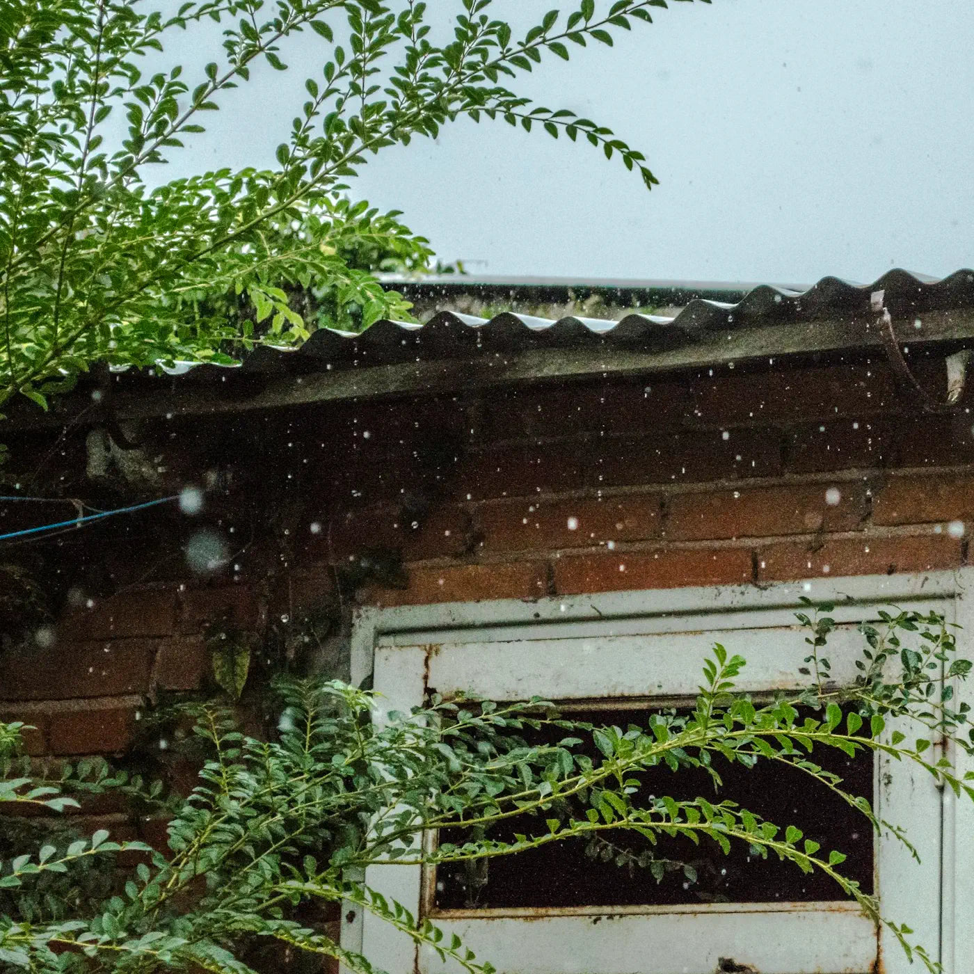 A close-up of a brick building with a rusted white door, surrounded by lush green foliage. Raindrops are visible in the air, emphasising a rainy, overcast atmosphere.